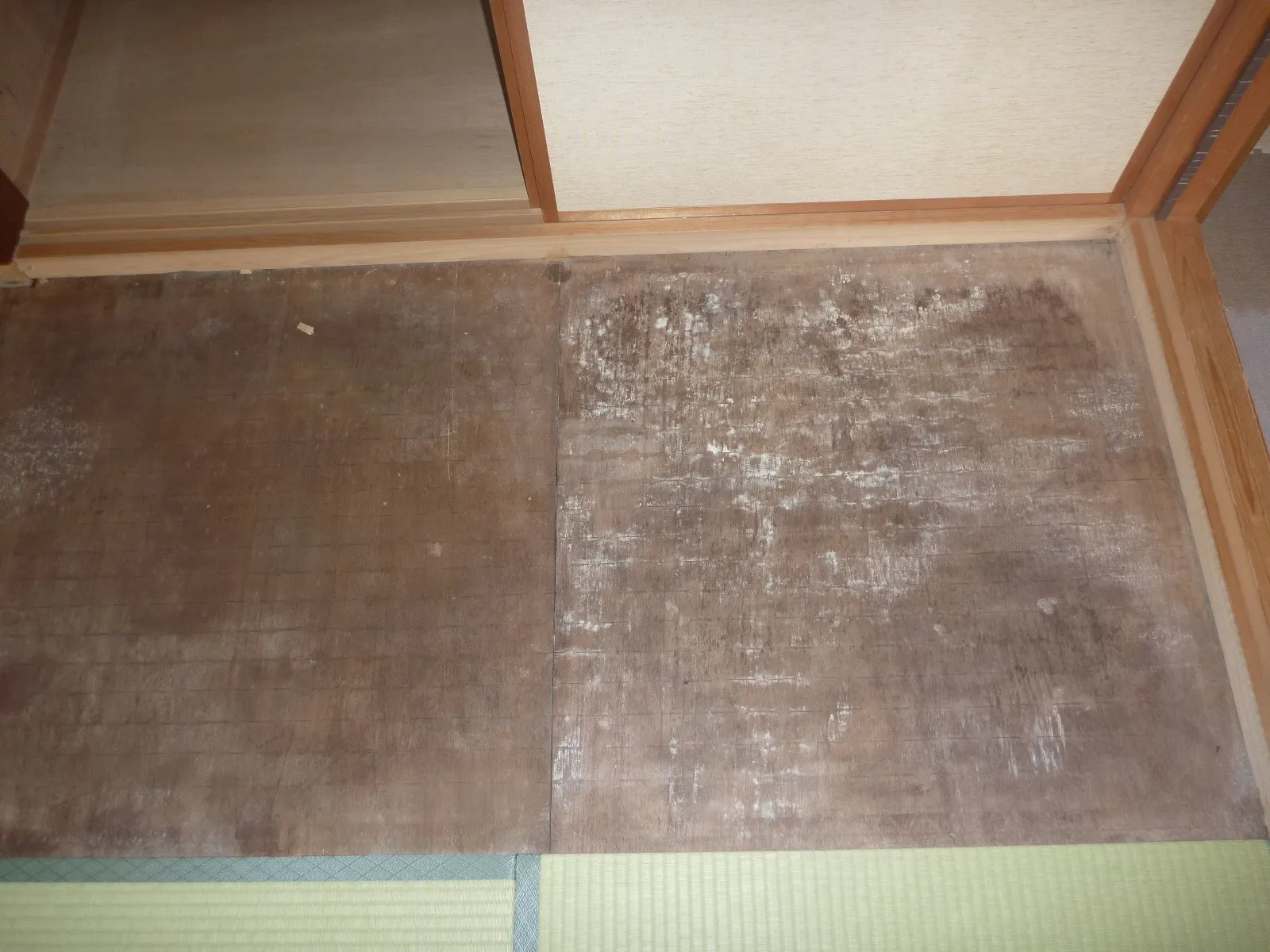 【埼玉】築30年以上の戸建住宅｜和室がカビ臭い原因と対策