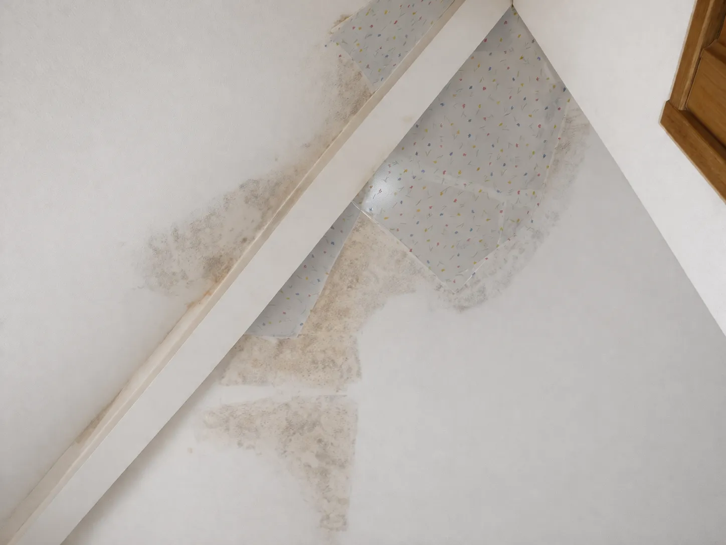 【さいたま市】夏に冷えない屋根勾配天井やロフト付きの部屋を所有していませんか？