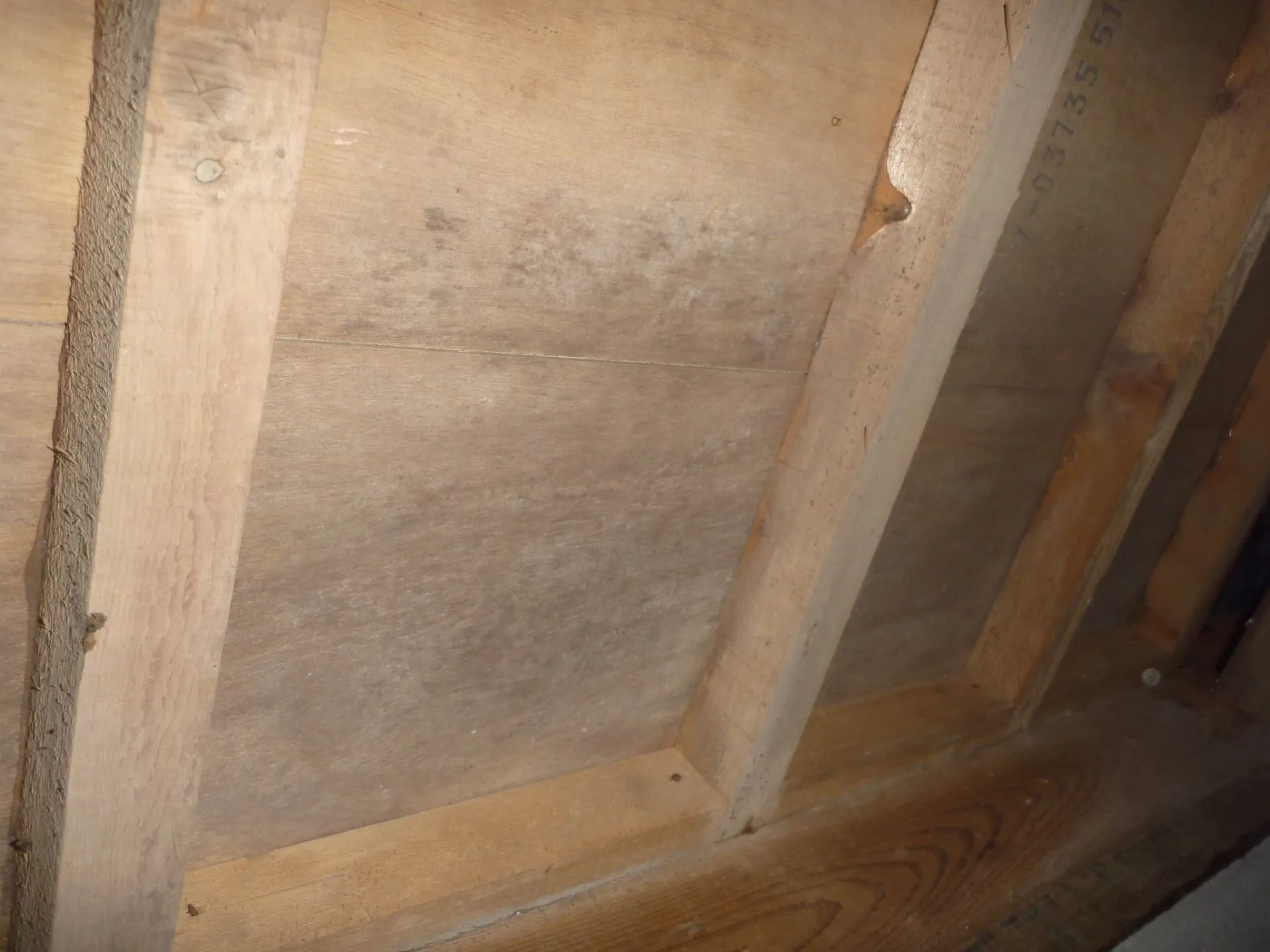 床下のカビは部分対応も可能です｜上尾市・桶川市・さいたま市