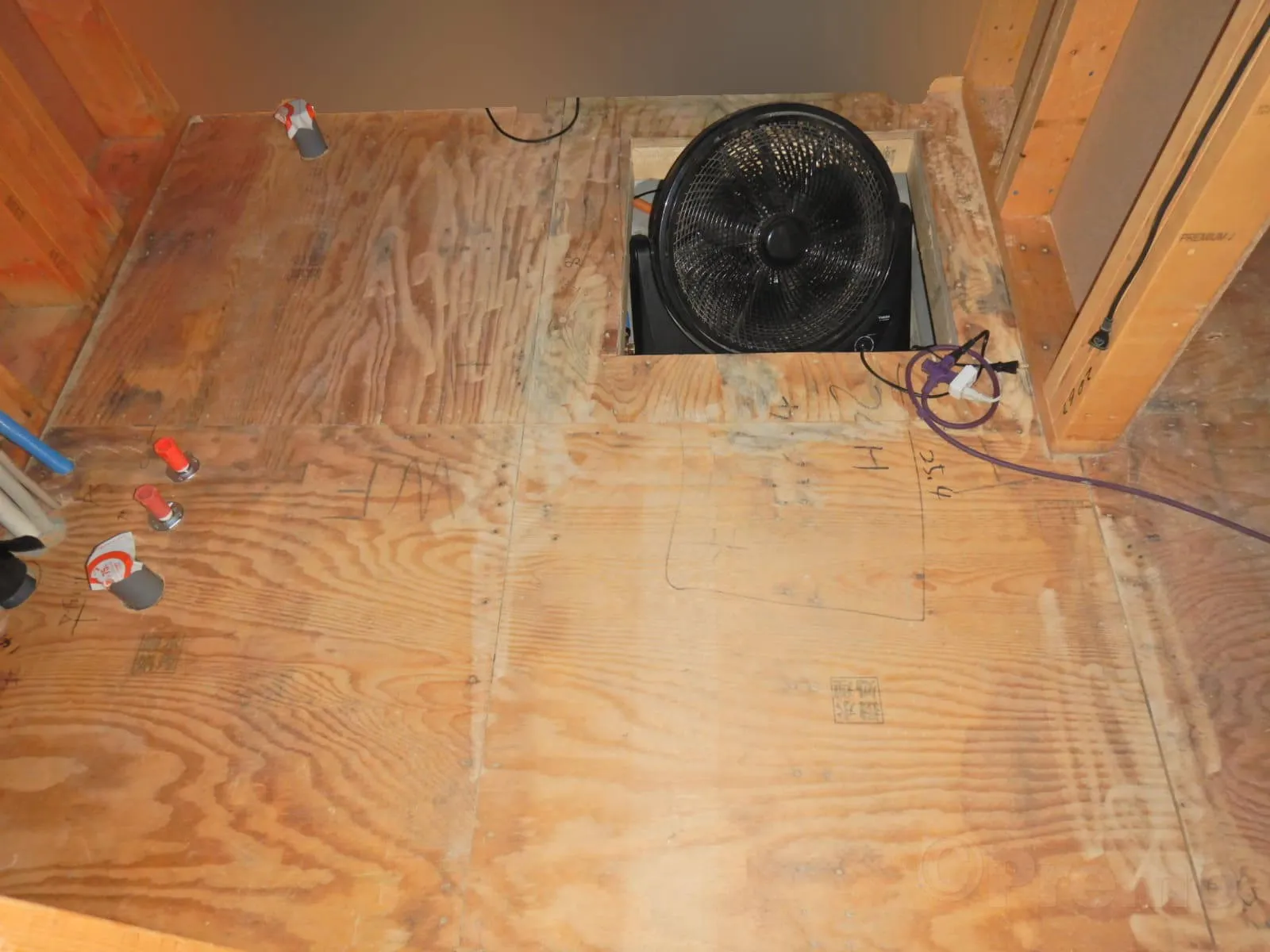 建築中に雨で濡れた構造用合板は大丈夫？カビのリスクと判断ポイント