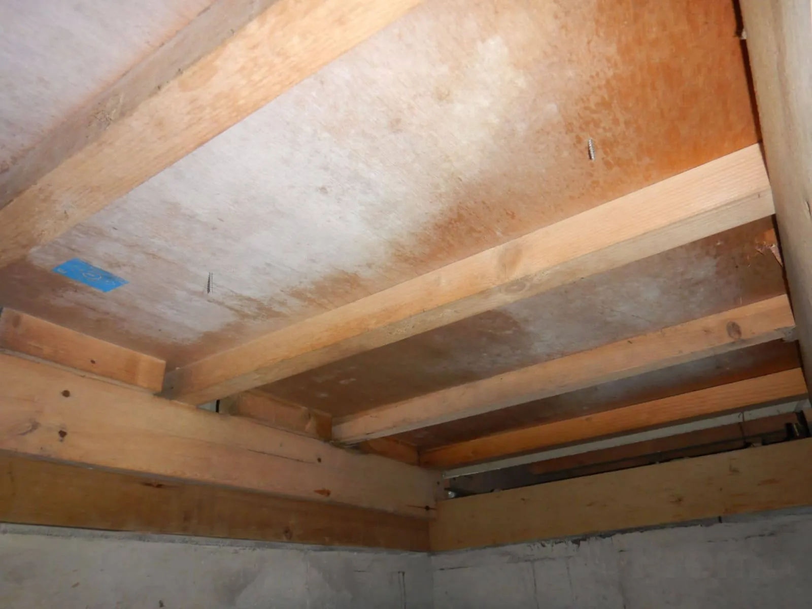 【上尾市】床下の一部だけ防カビ工事は可能ですか？｜小さな防カビ工事の事例