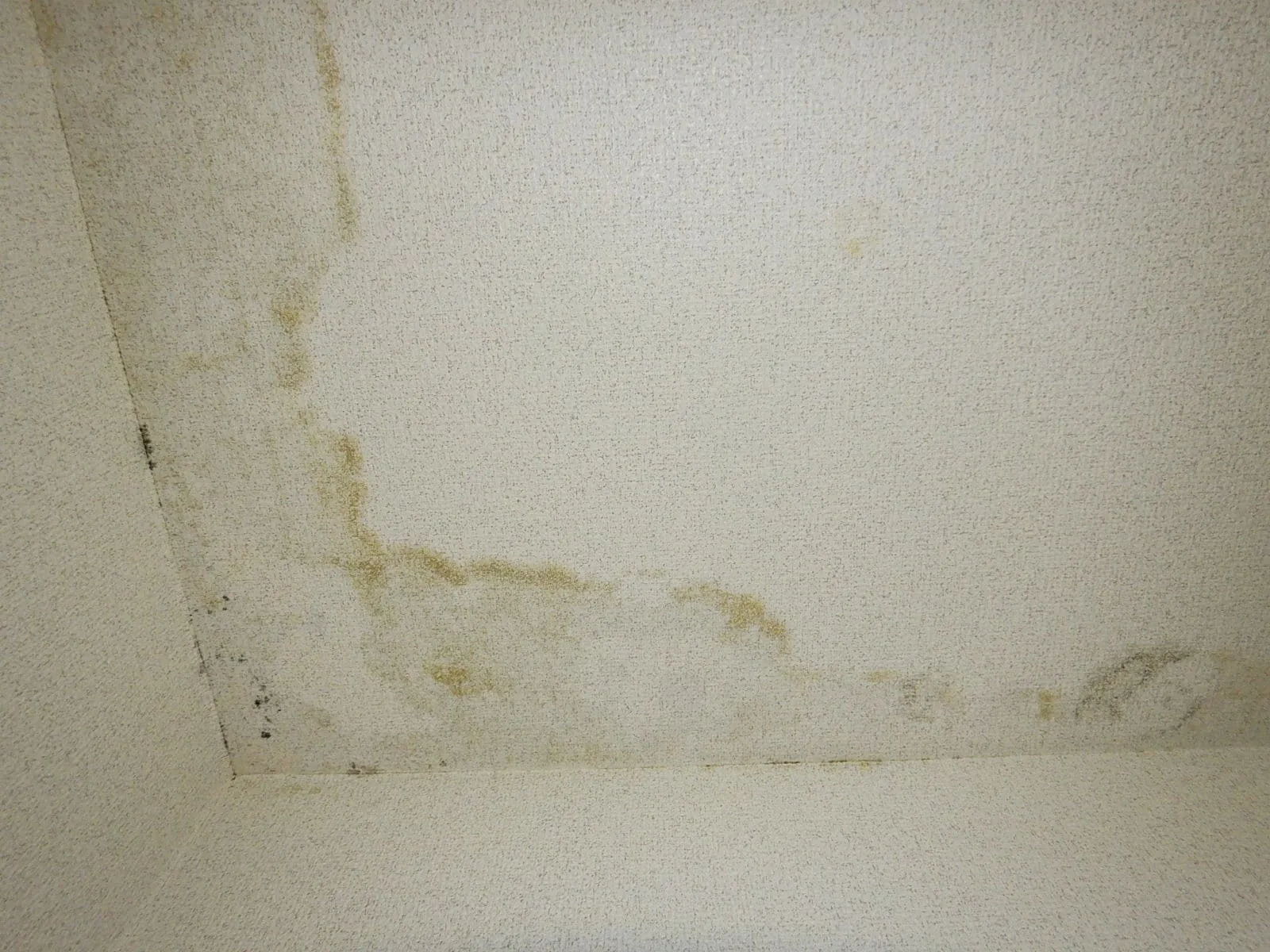 【さいたま市】断熱しても止まらないカビ｜コンクリート直張り壁紙と防カビ結露対策工事