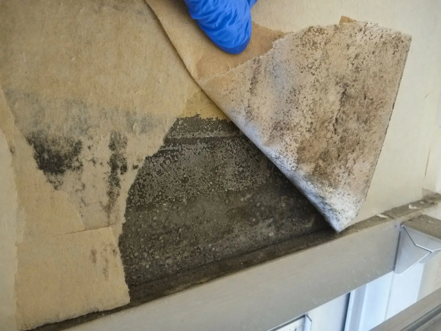 【埼玉】壁紙の価格が気になる今こそ｜張替えだけで大丈夫ですか？