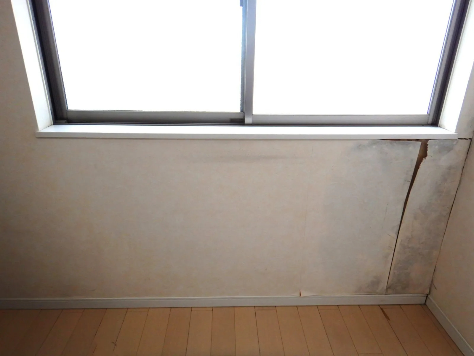 【埼玉】梅雨入り前のカビ対策｜戸建住宅の壁紙カビにご注意ください