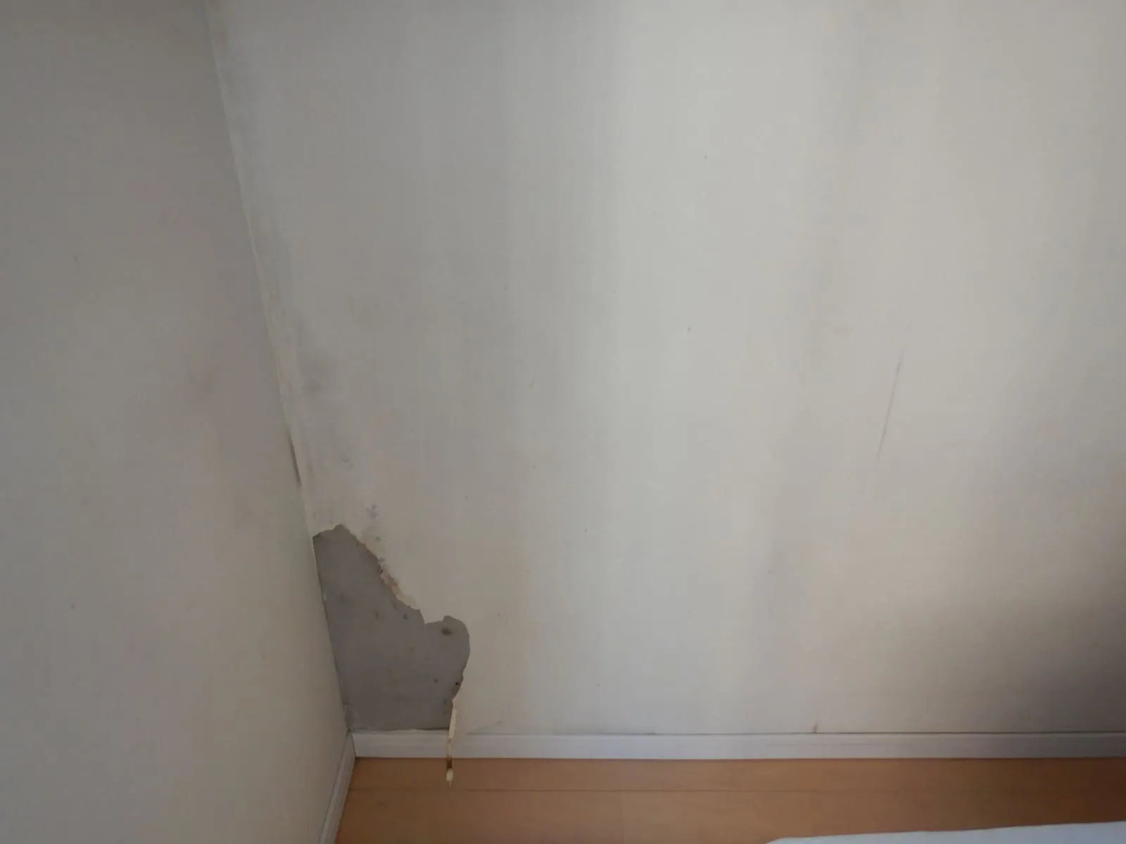 【川口市】マンションで壁紙にカビを見つけた時、確認したいことがあります