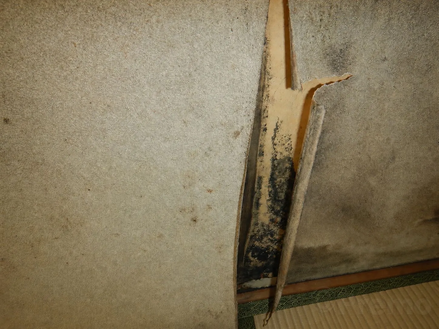 【埼玉】親の住む部屋の壁紙にカビが…普通の壁紙張替えで大丈夫ですか？