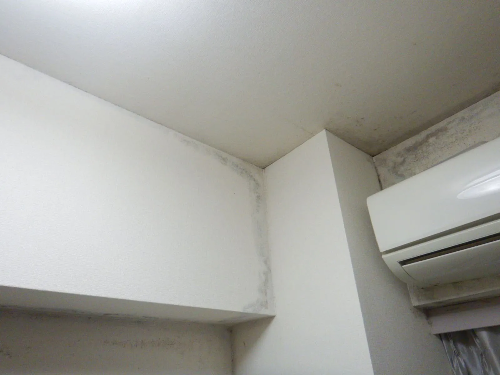 【埼玉】防カビ剤が全てではありません｜カビを止めるには結露対策も必要です