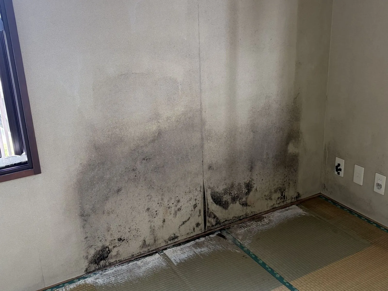 【入間市】家具はここしか置けない…壁紙の黒カビ対策を考える
