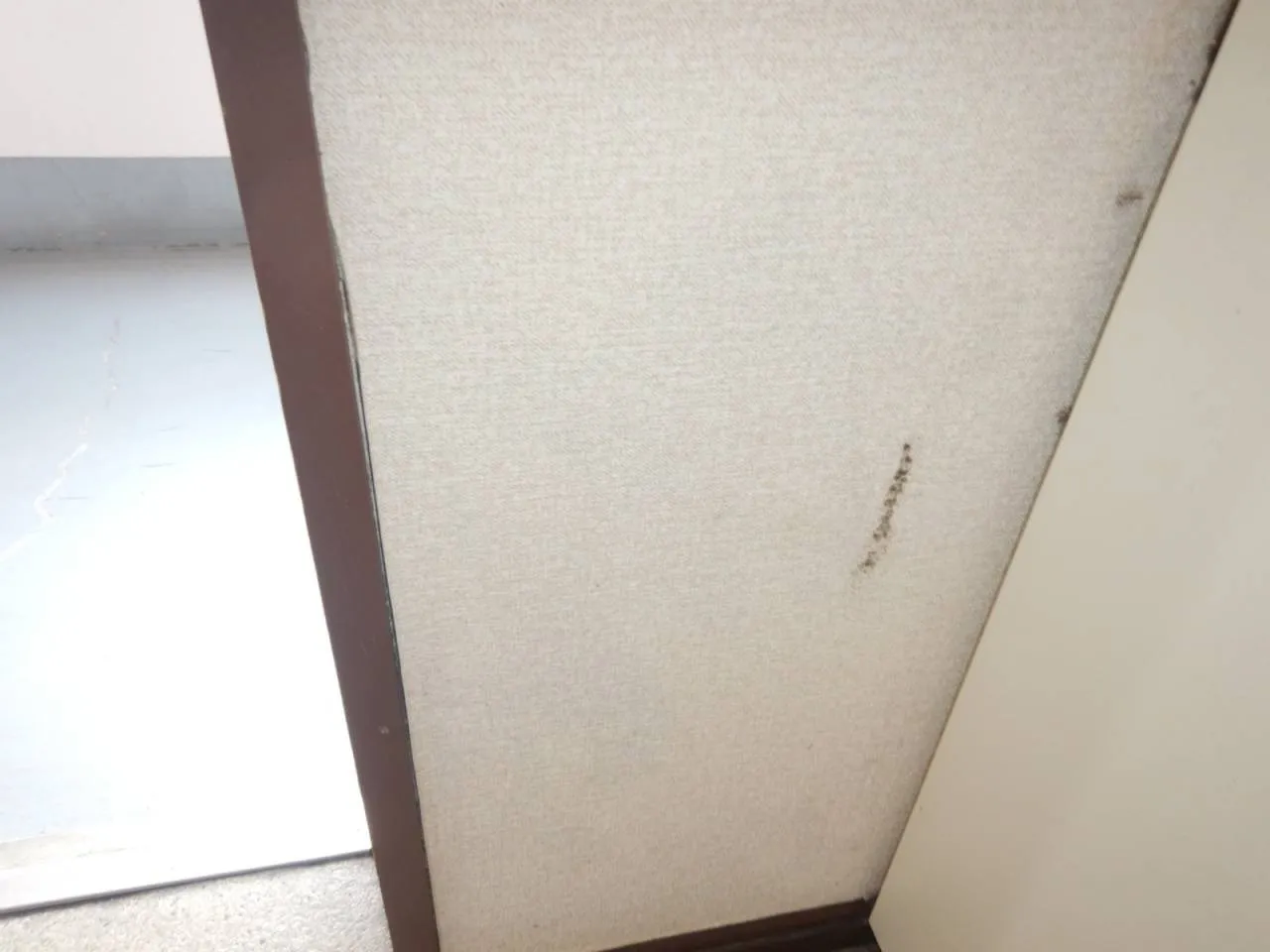 【大家さん自主管理物件】賃貸マンション壁紙下地カビで困った時