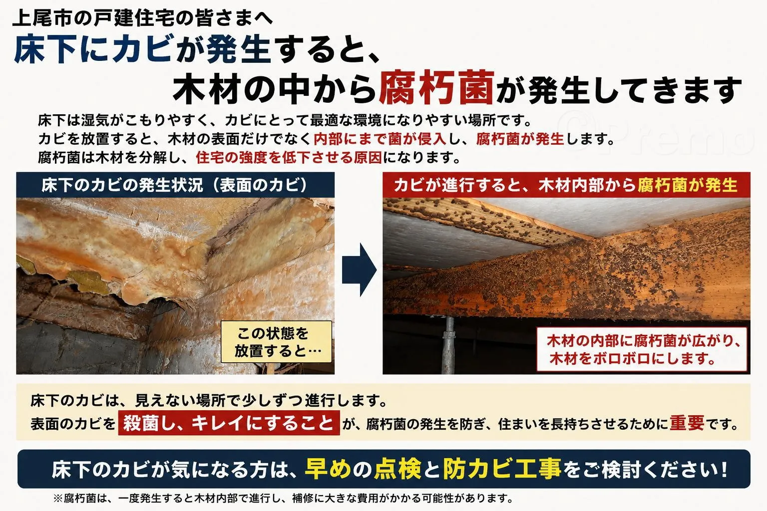 上尾市|床下のカビ、そのままでも大丈夫だと思っていませんか?