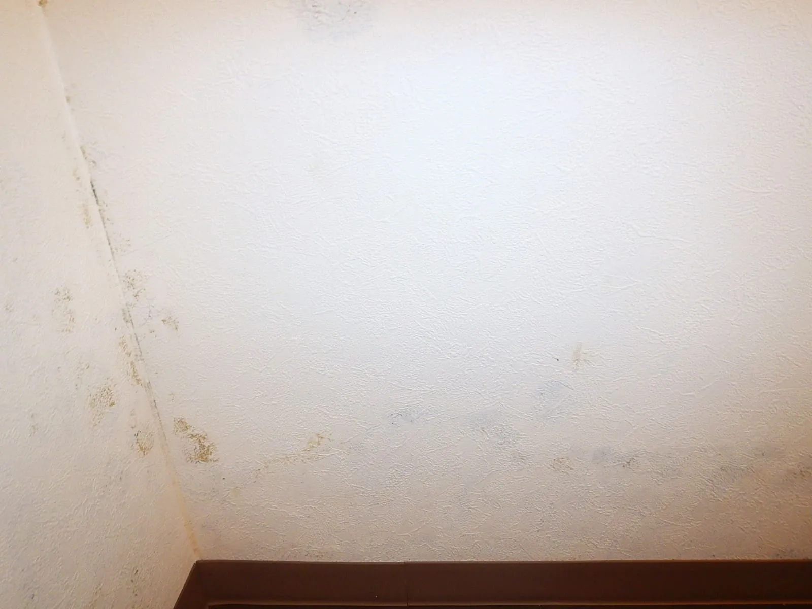 分譲賃貸で入居後まもなく壁紙にカビ｜張替えたばかりなのになぜ？