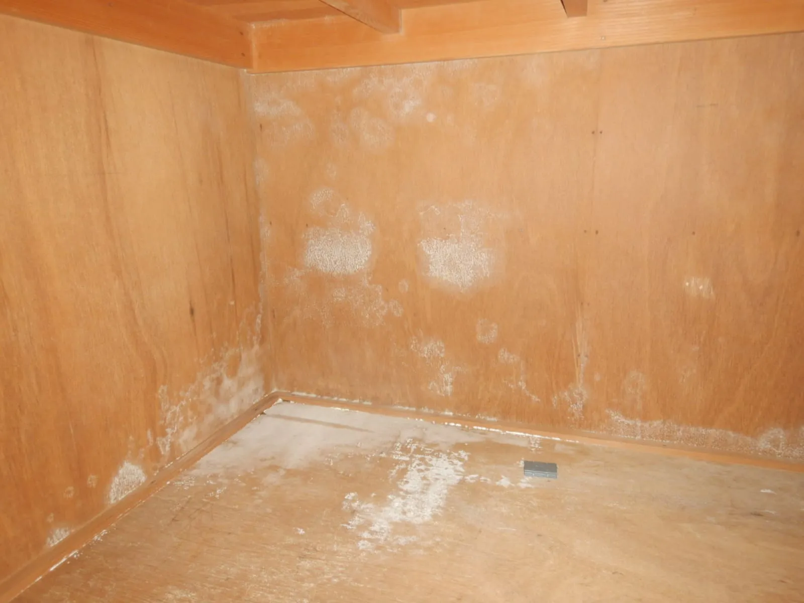 賃貸の部屋がカビ臭い|入居者の話がオーナーまで届いていますか?