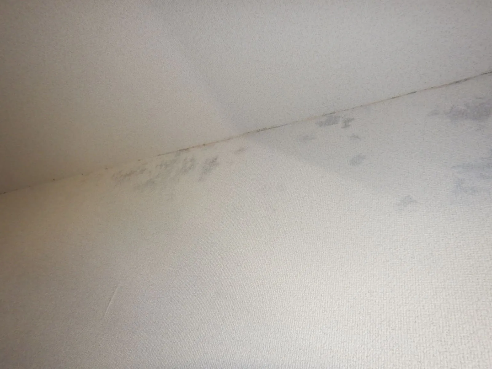 賃貸マンションを引き継いで驚く｜他の部屋も結露してカビが発生しているの？