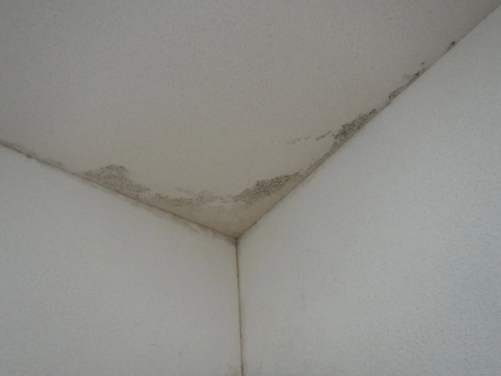 中古マンション購入前に壁紙の下地を確認！コンクリート直張り壁紙はどこに使われている？