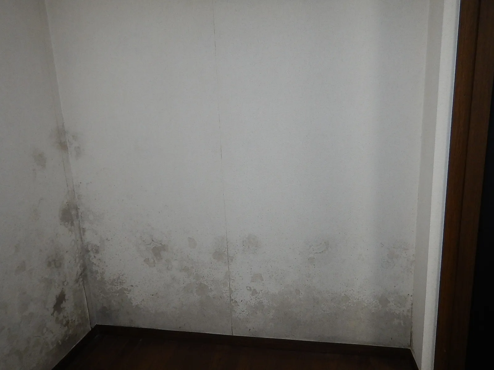 地下室2部屋にカビが発生｜階段室も防カビ工事が必要？