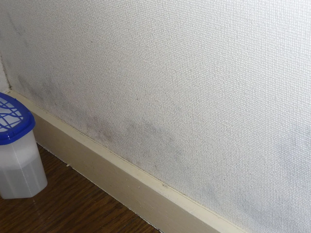 壁紙張替え防カビ工事をしたのにカビが再発｜もう一度同じ工事をしますか？