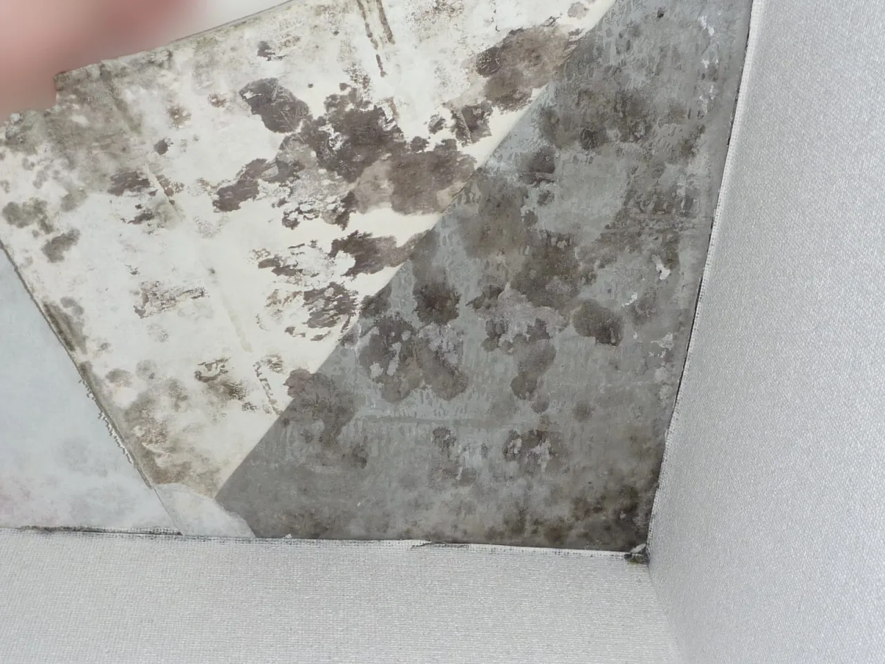「何度壁紙を張替えたらカビが止まるの?」賃貸マンションの結露カビ対策