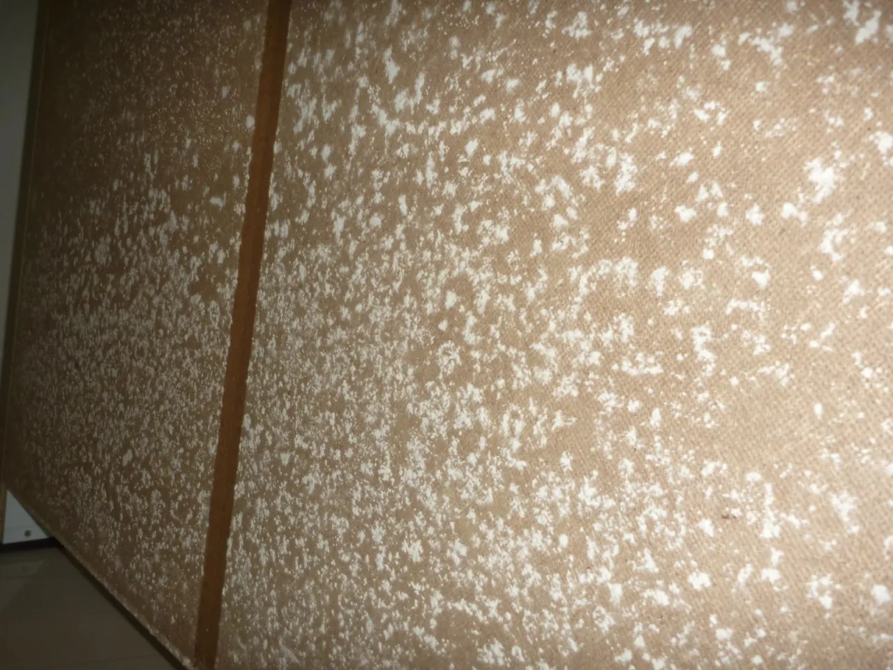 地下室のカビを繰り返さないために|防カビ工事と暮らし方の注意点